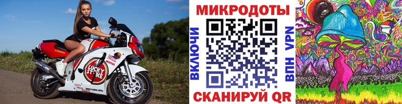 Псилоцибиновые грибы Psilocybe  Энгельс 